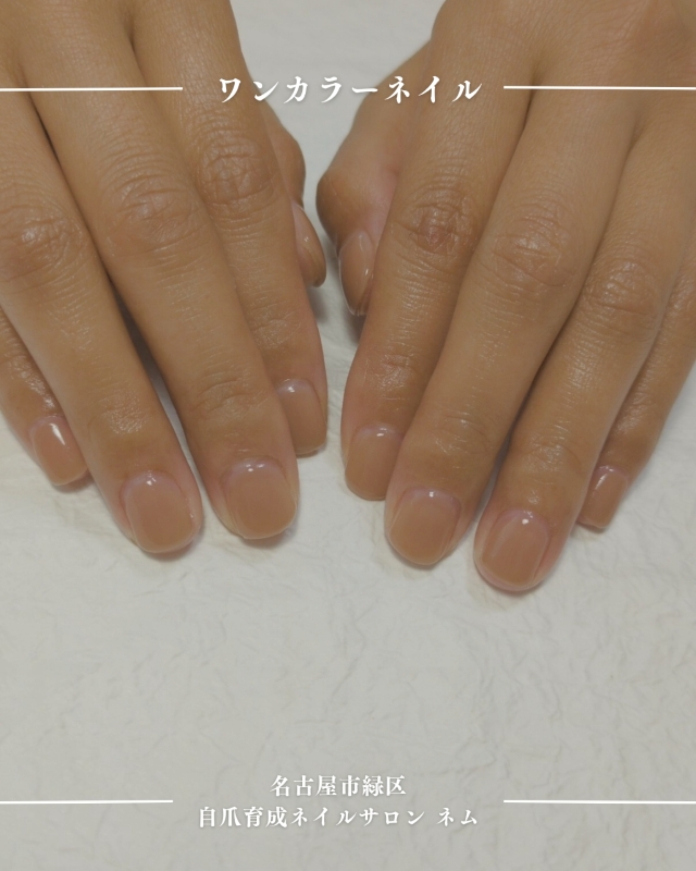 Nemu_Salon