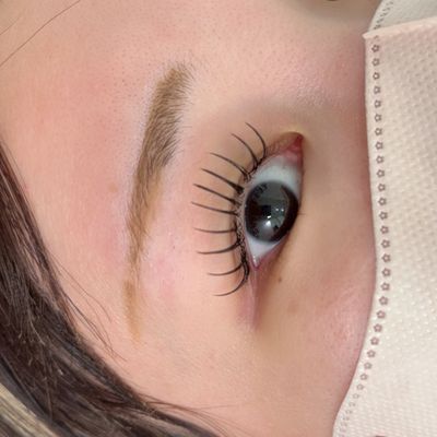 フラットラッシュ100本