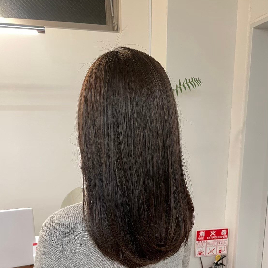 Farbe_hibiki
