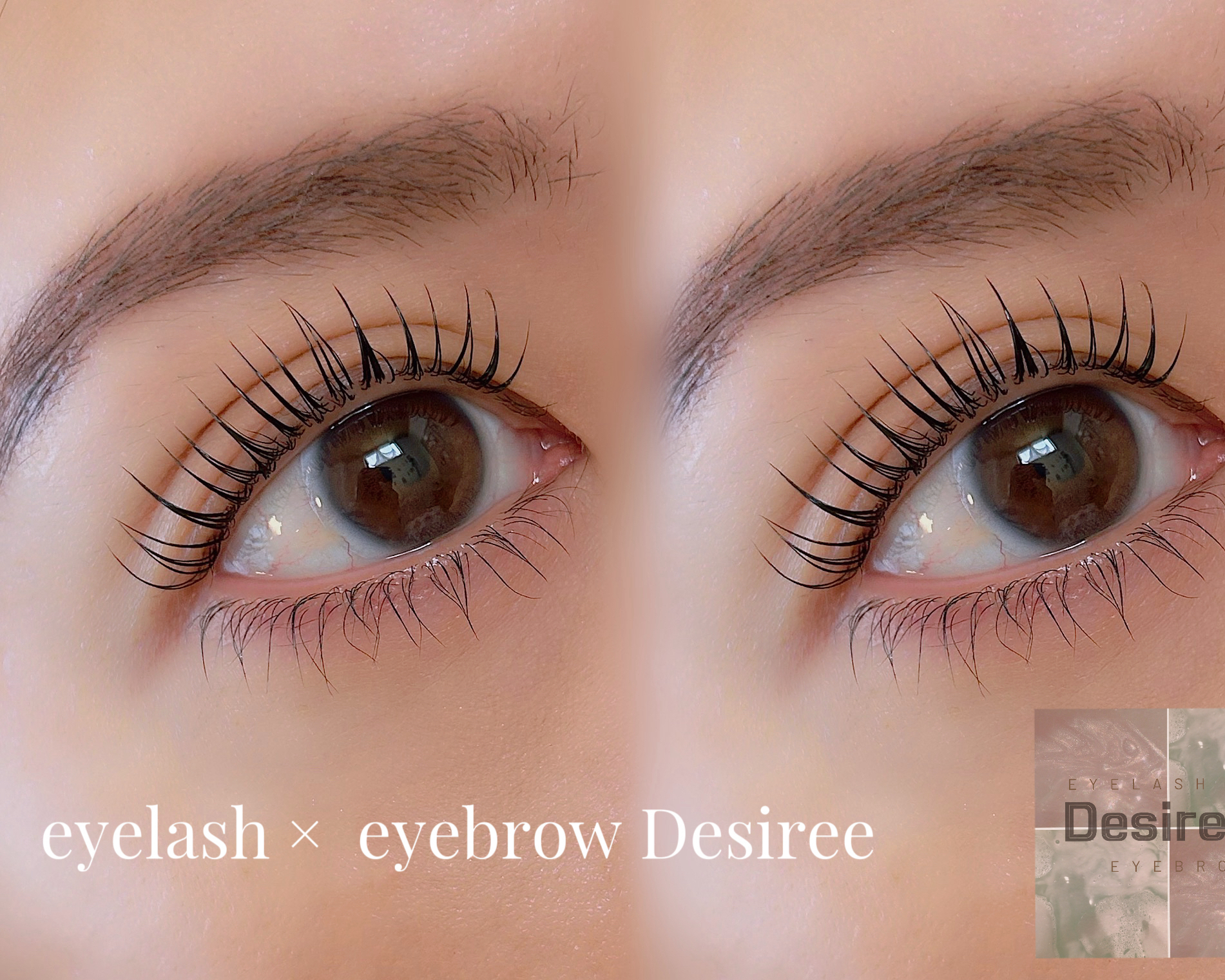 eyelash_eyebrow_desiree.