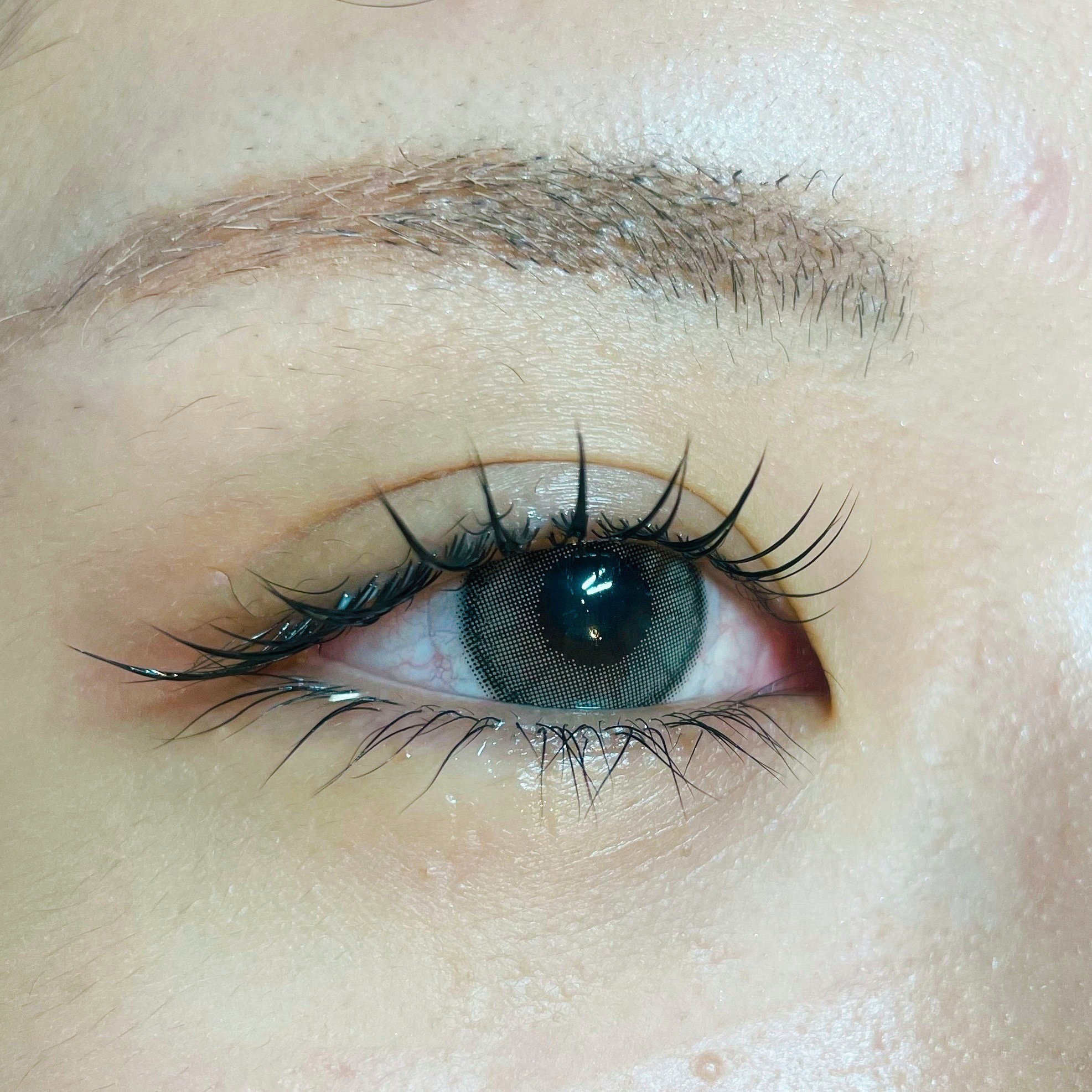 eyelash_kao
