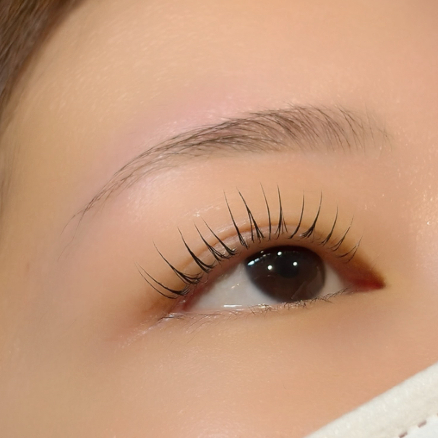 kanako.m_trueye