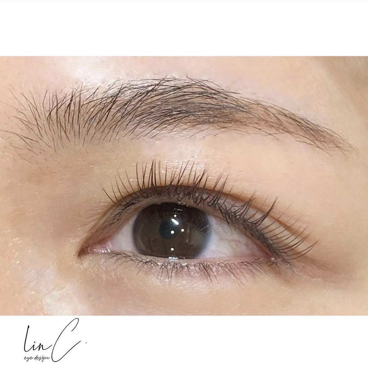 linc.eye