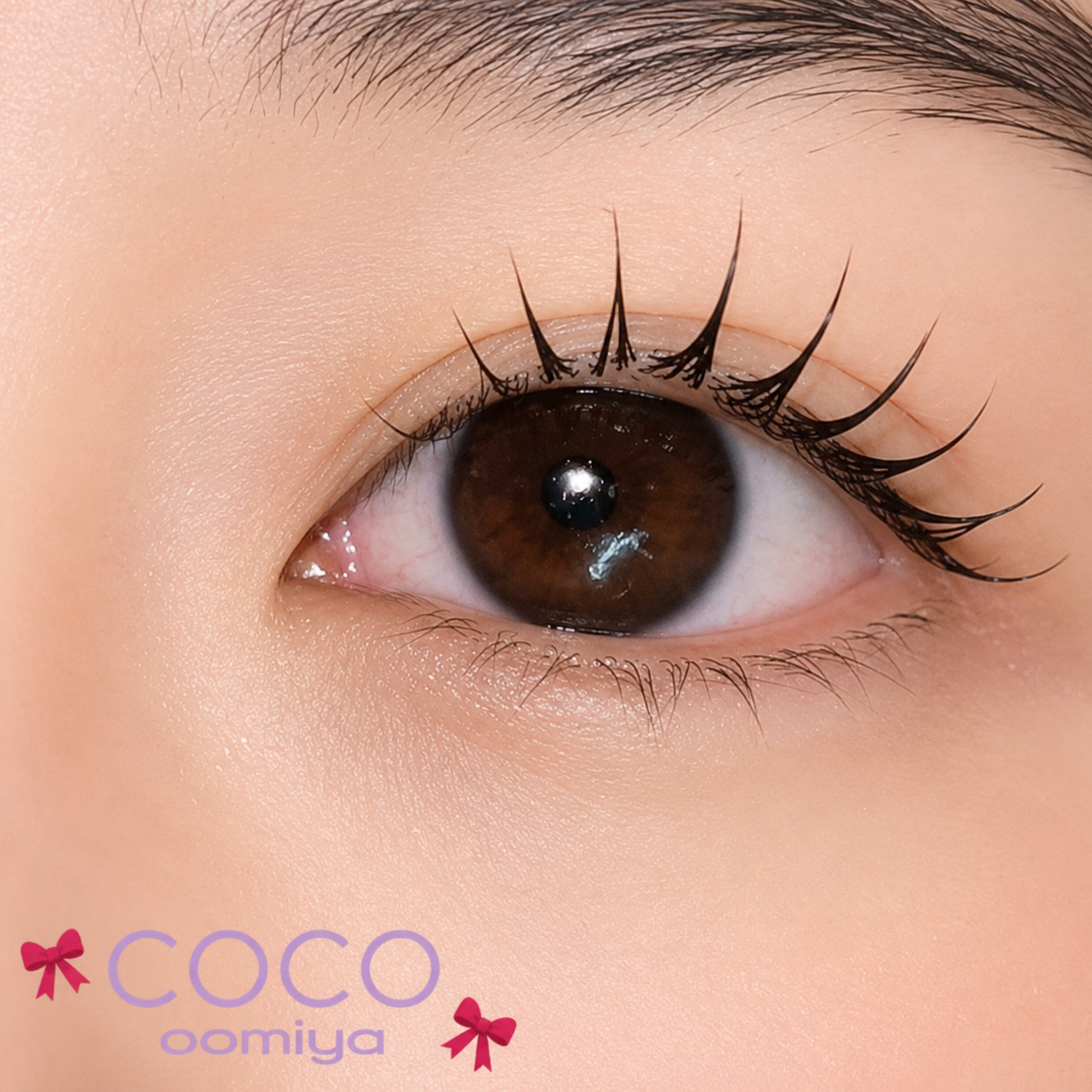 coco_shizuku
