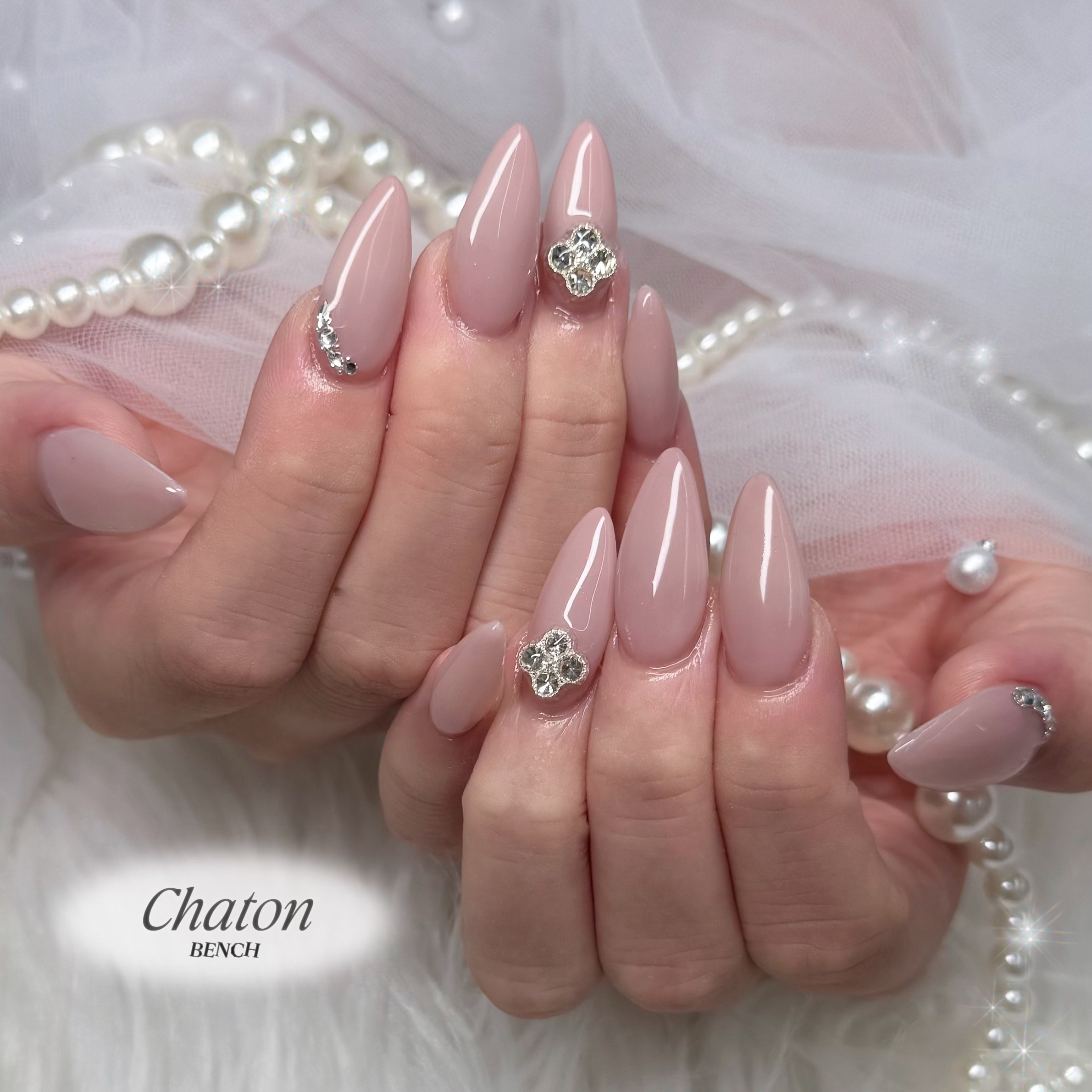 chaton_