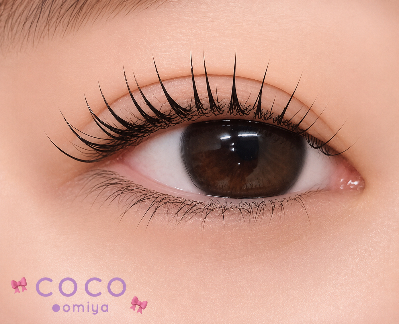 coco_shizuku