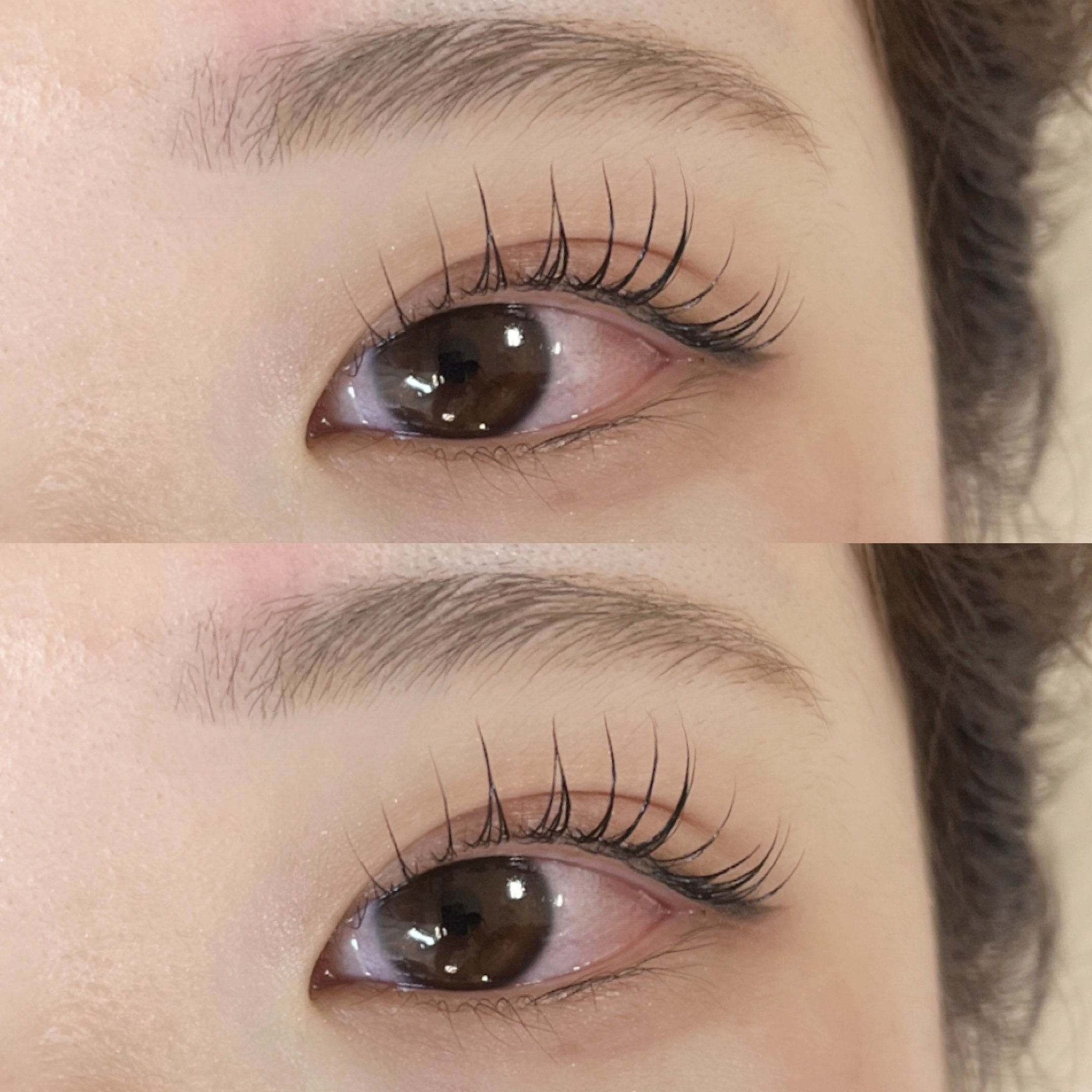 himawari_trueye