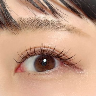 フラットラッシュ 120本