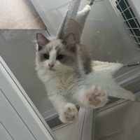 sakko_0928