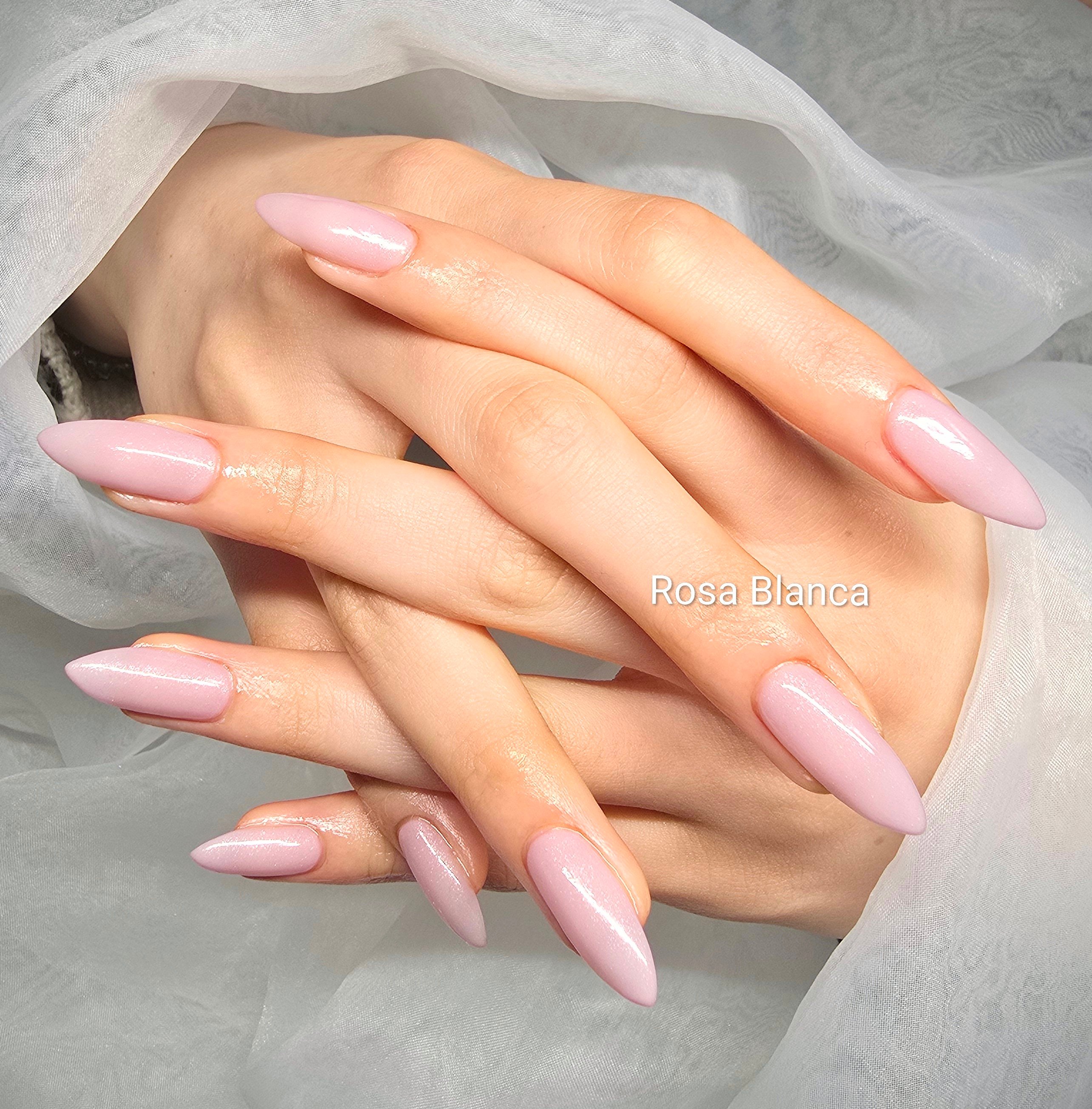 Rosa_Blanca