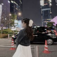 ANNE_nano