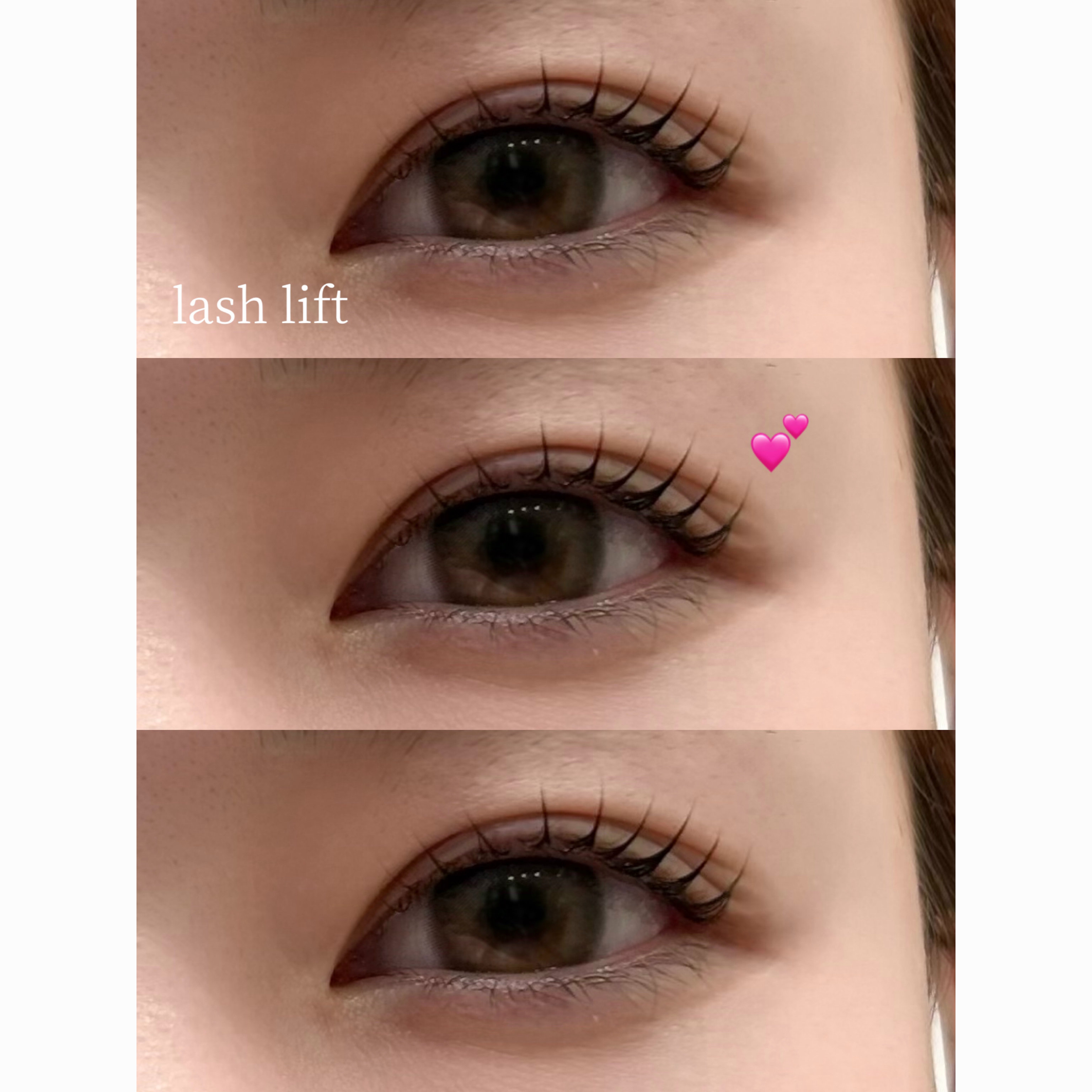 Gallica_Seina