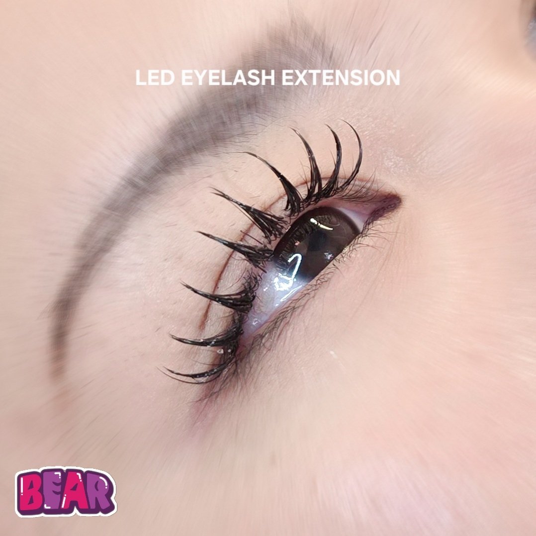 bear._.eyelash