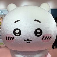 rin_prin