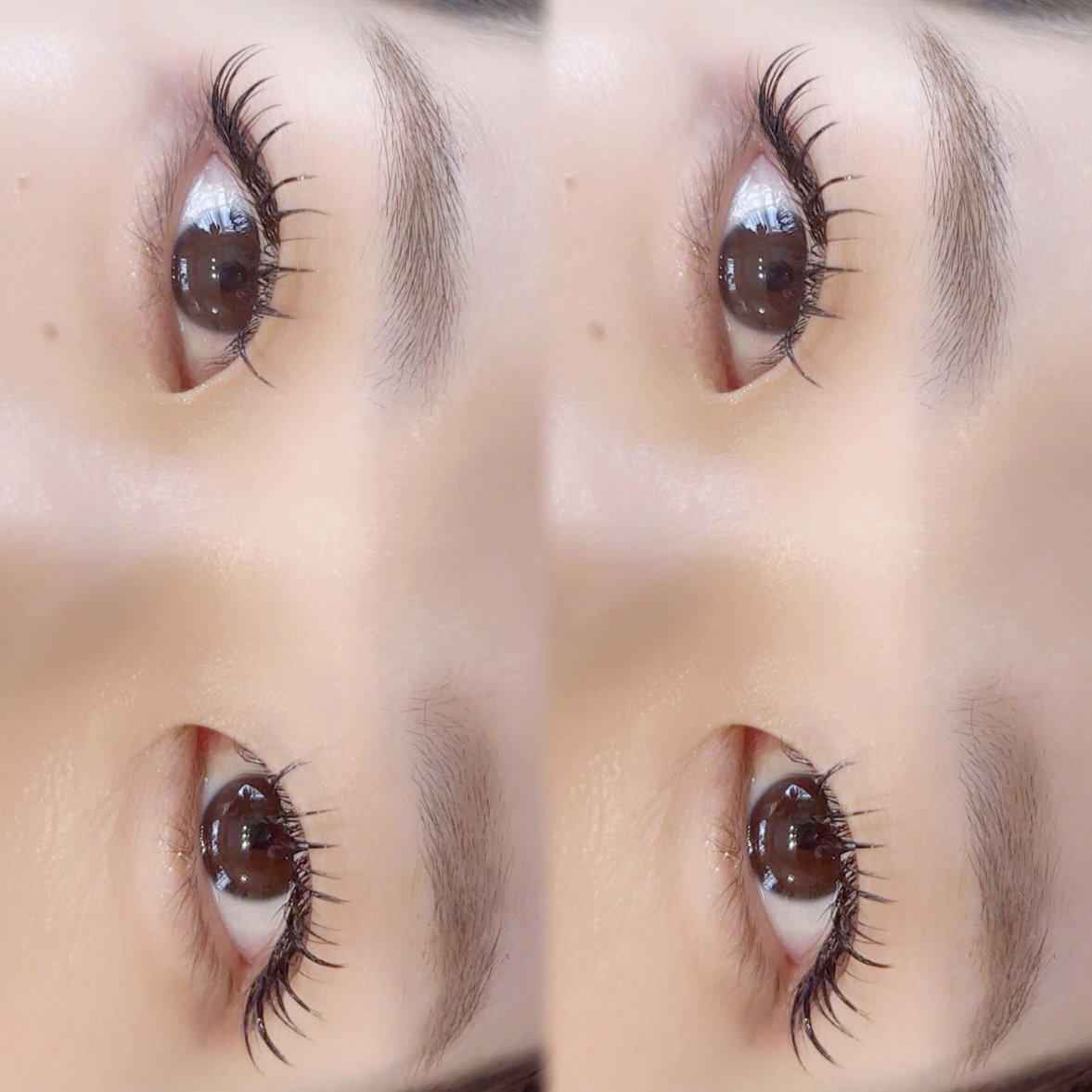 mona_natsumi