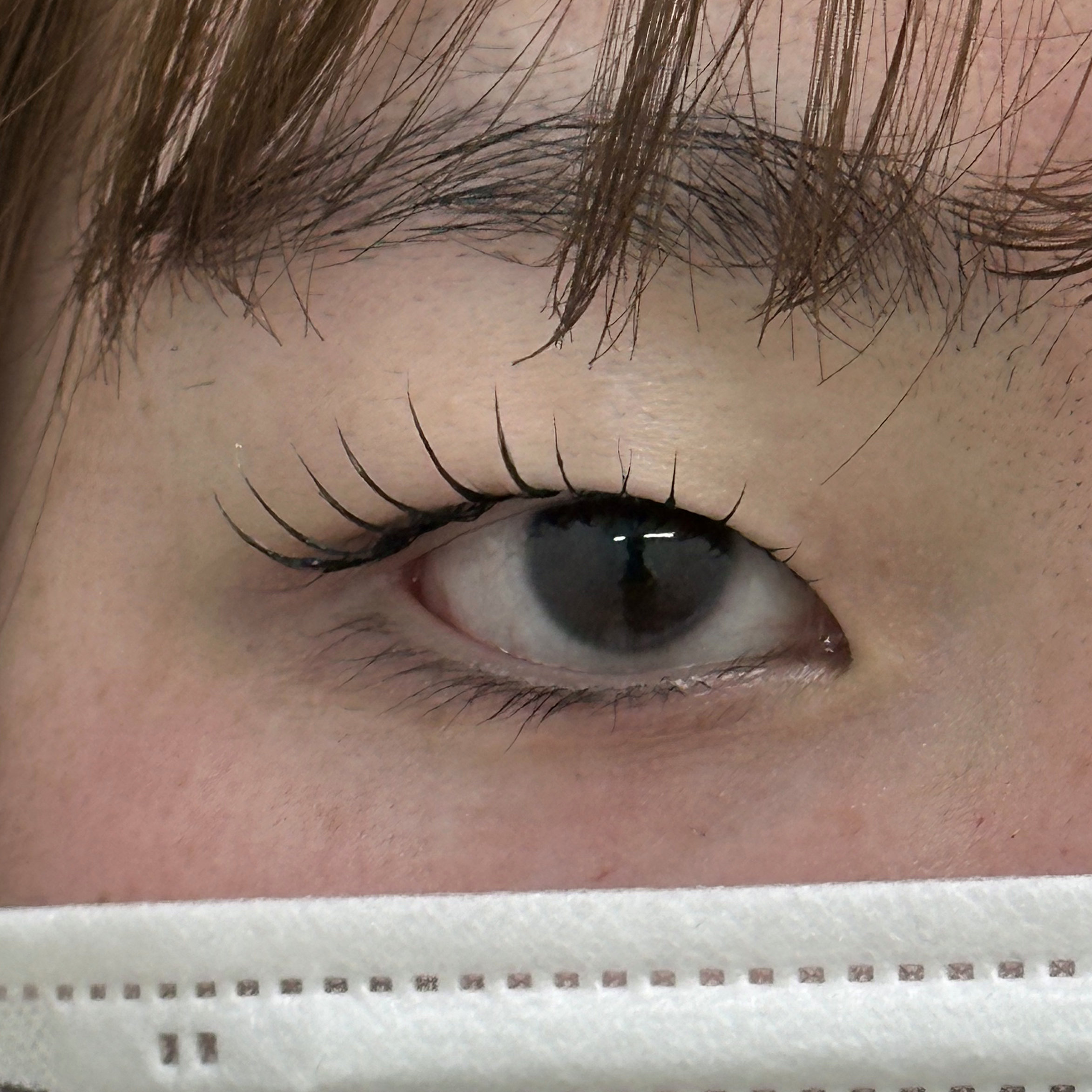 eye_owl_maryyyyyy