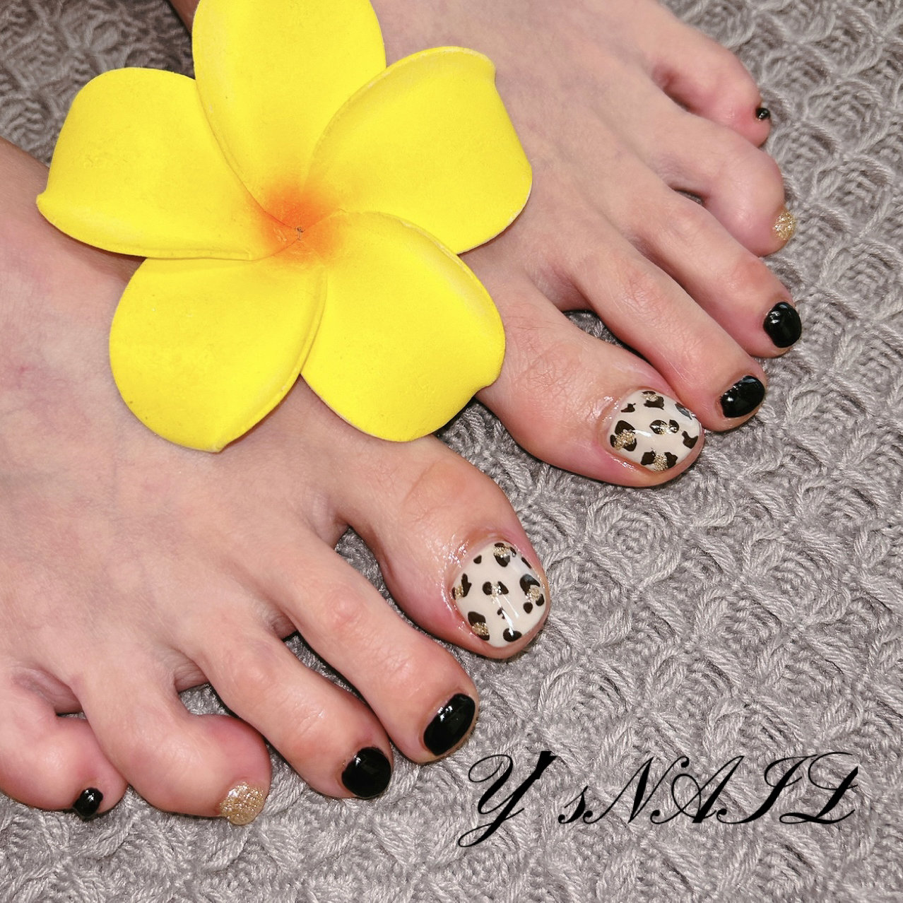 ysnail_1001
