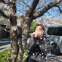 Hanami_Courbon
