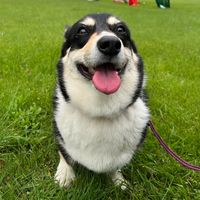 hi8