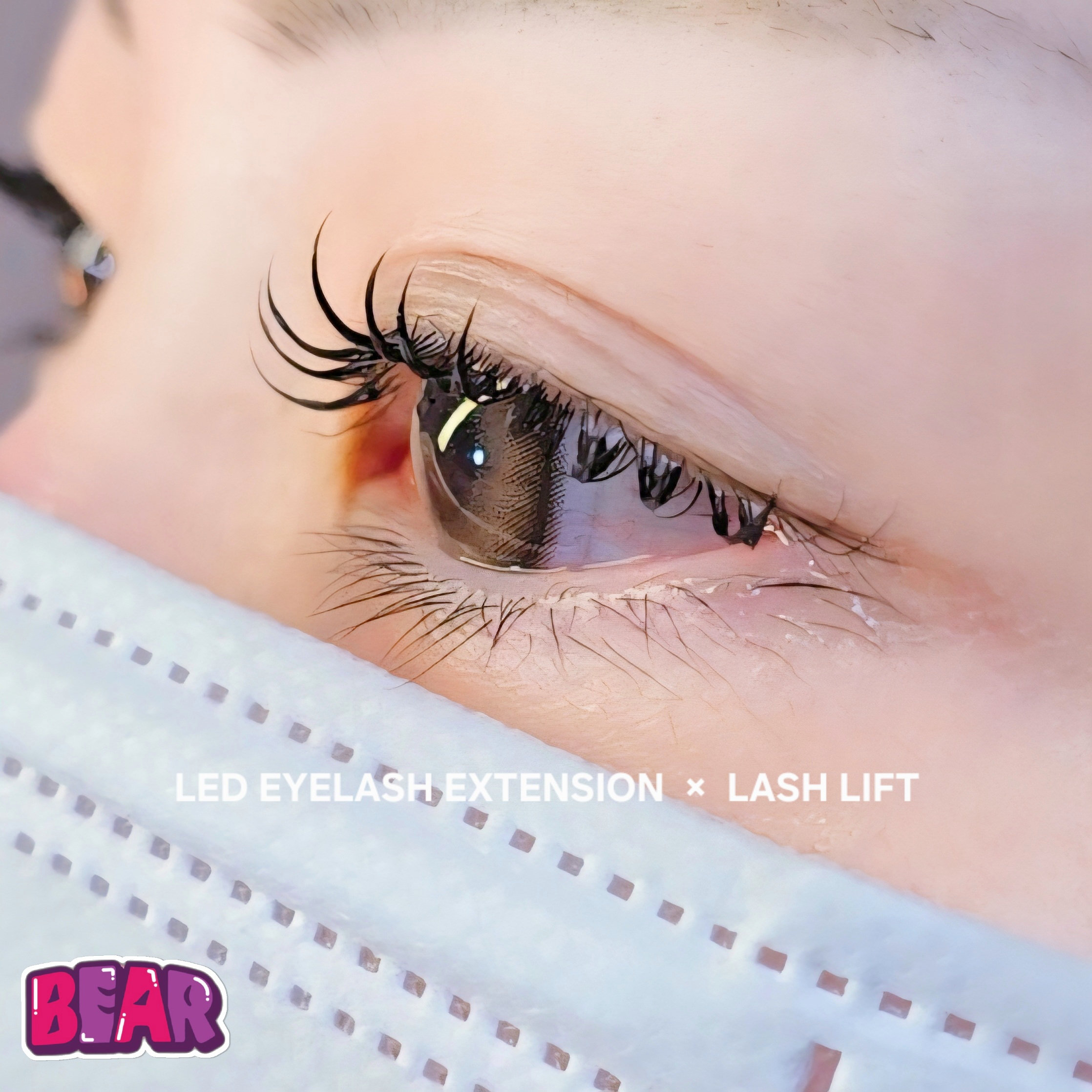 bear._.eyelash