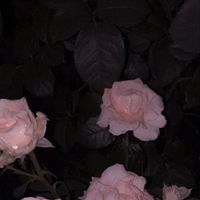 n._91