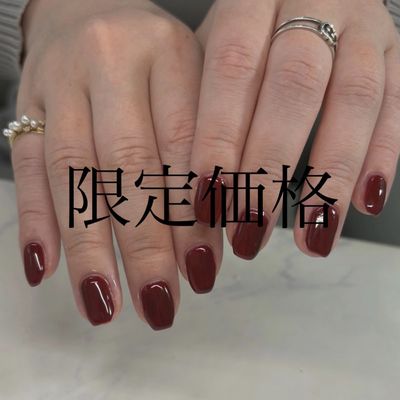 【1日限定】ワンカラー