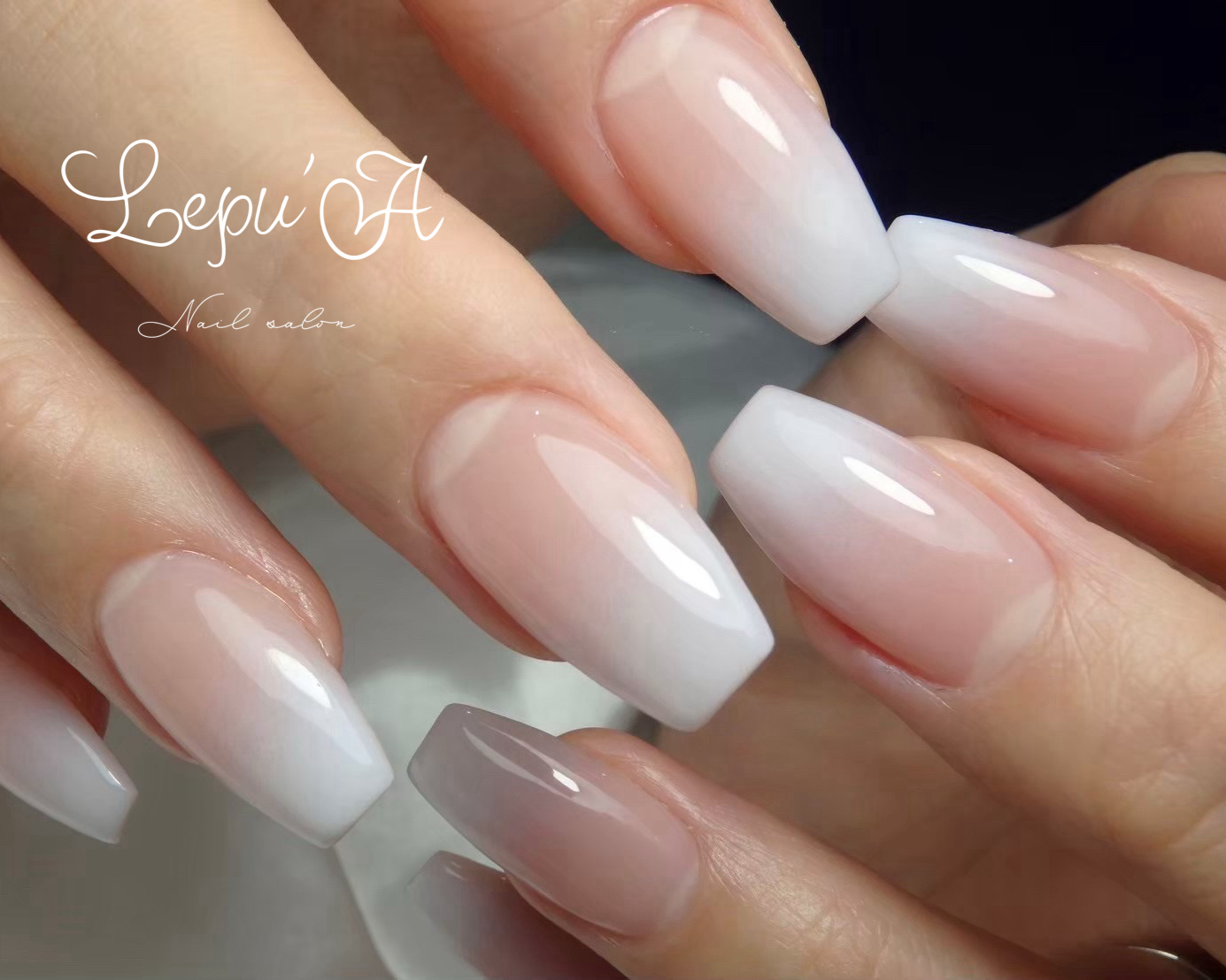 Lepu.A_misa