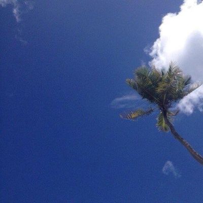 営業時間外:朝
