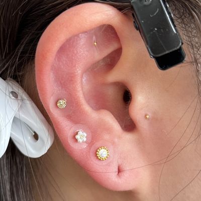 耳ツボベーシックコース