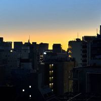 mikami_04813