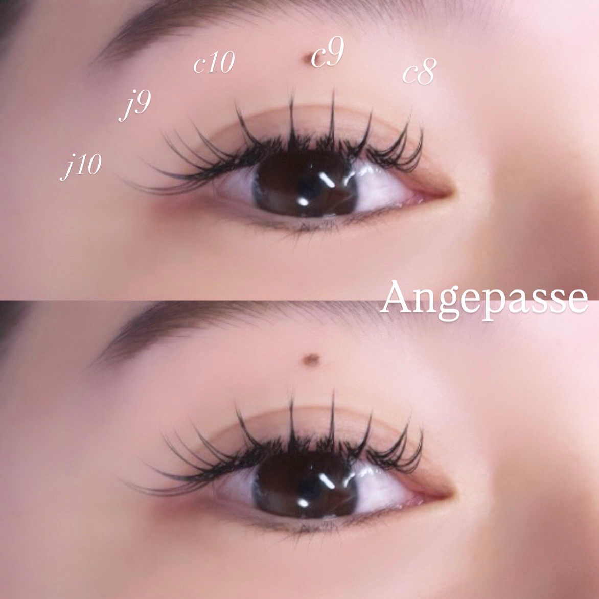h.a.r.Angepasse