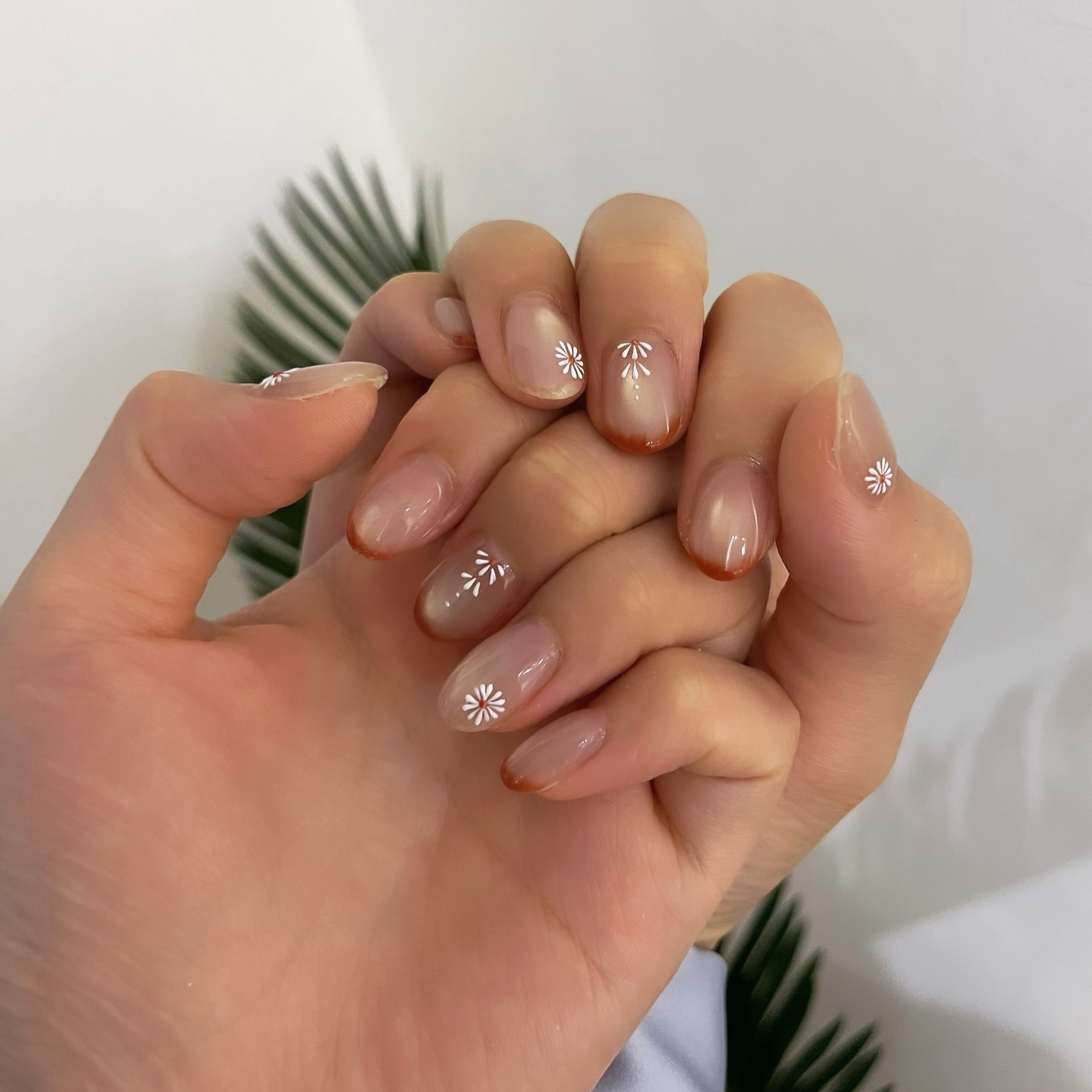 s.ponail