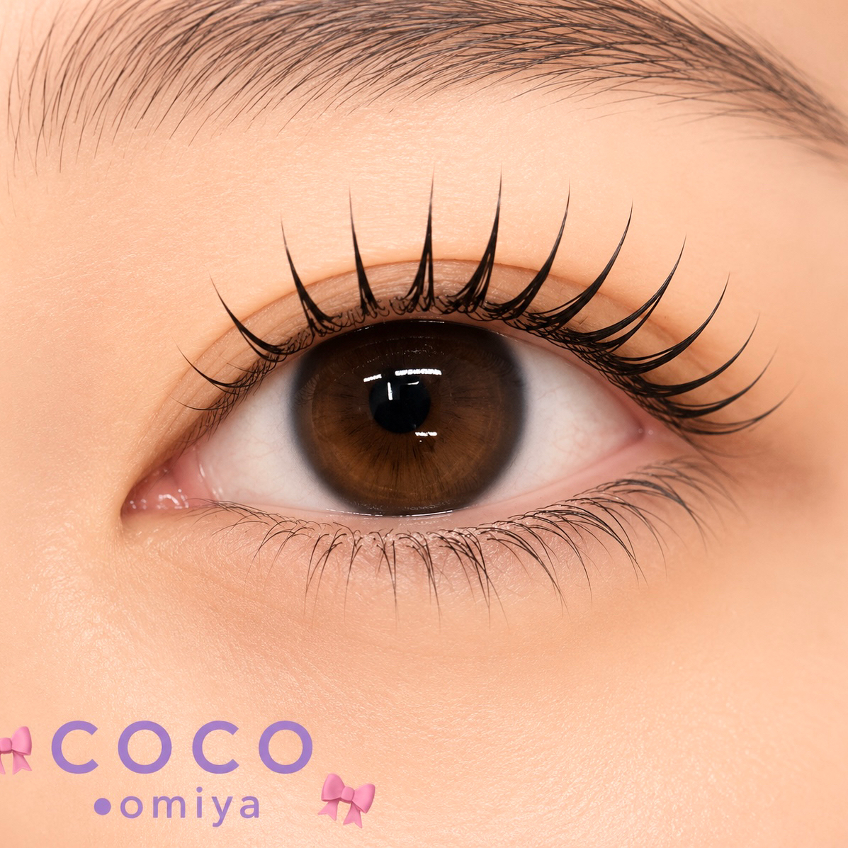 coco_shizuku