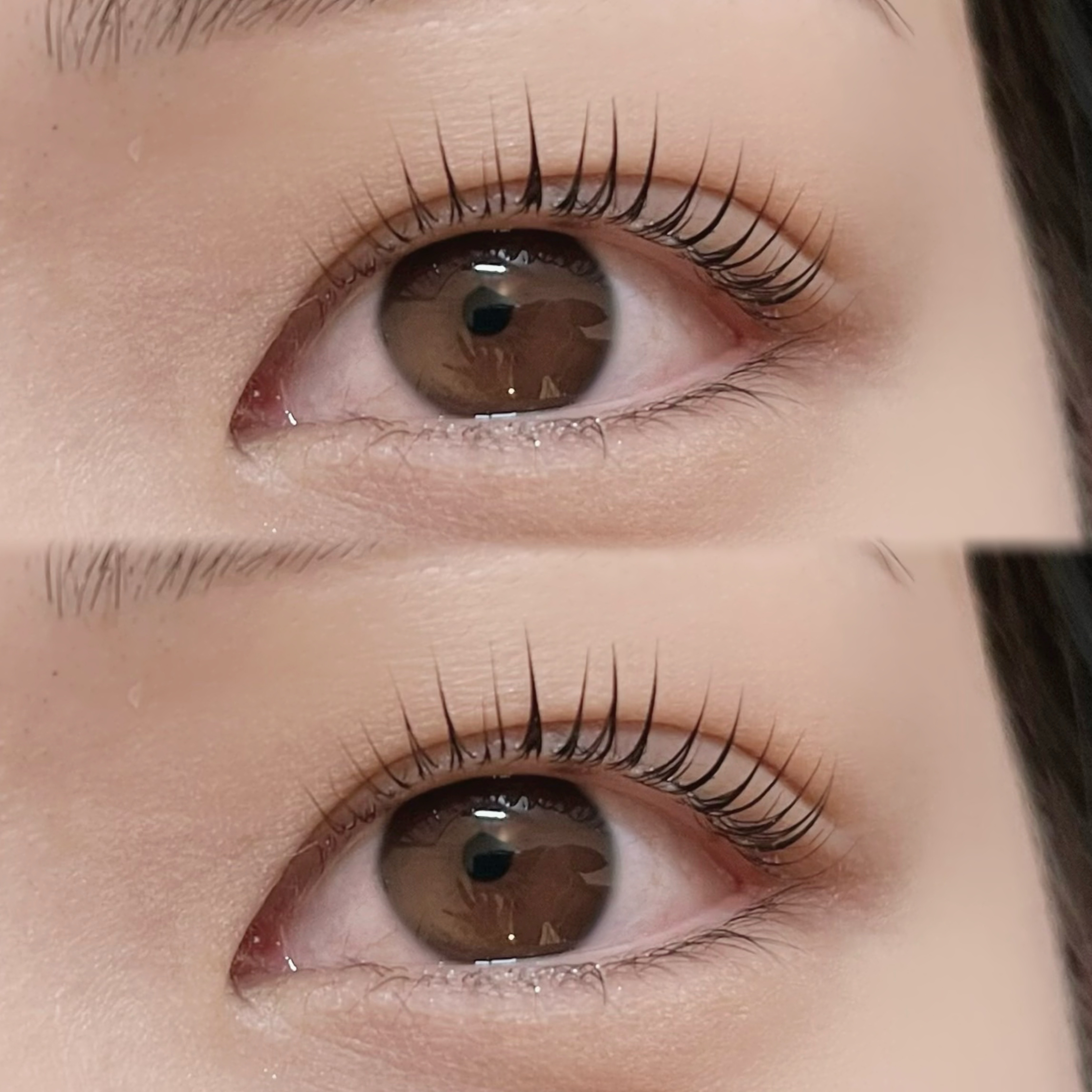 BUCKS_eye