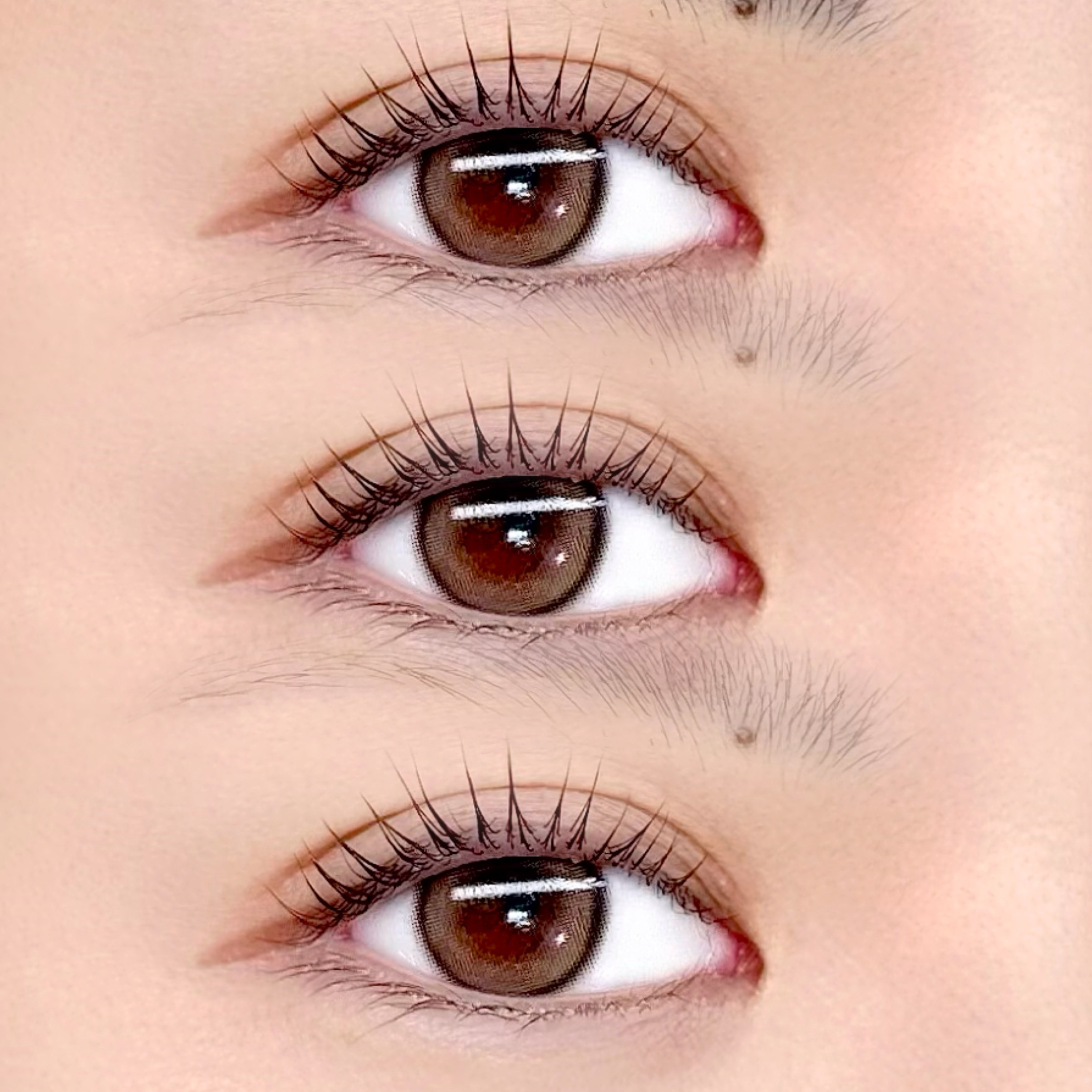 eye_lamieux