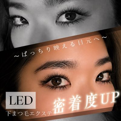 【下まつ毛】LEDフラットラッシュ20本