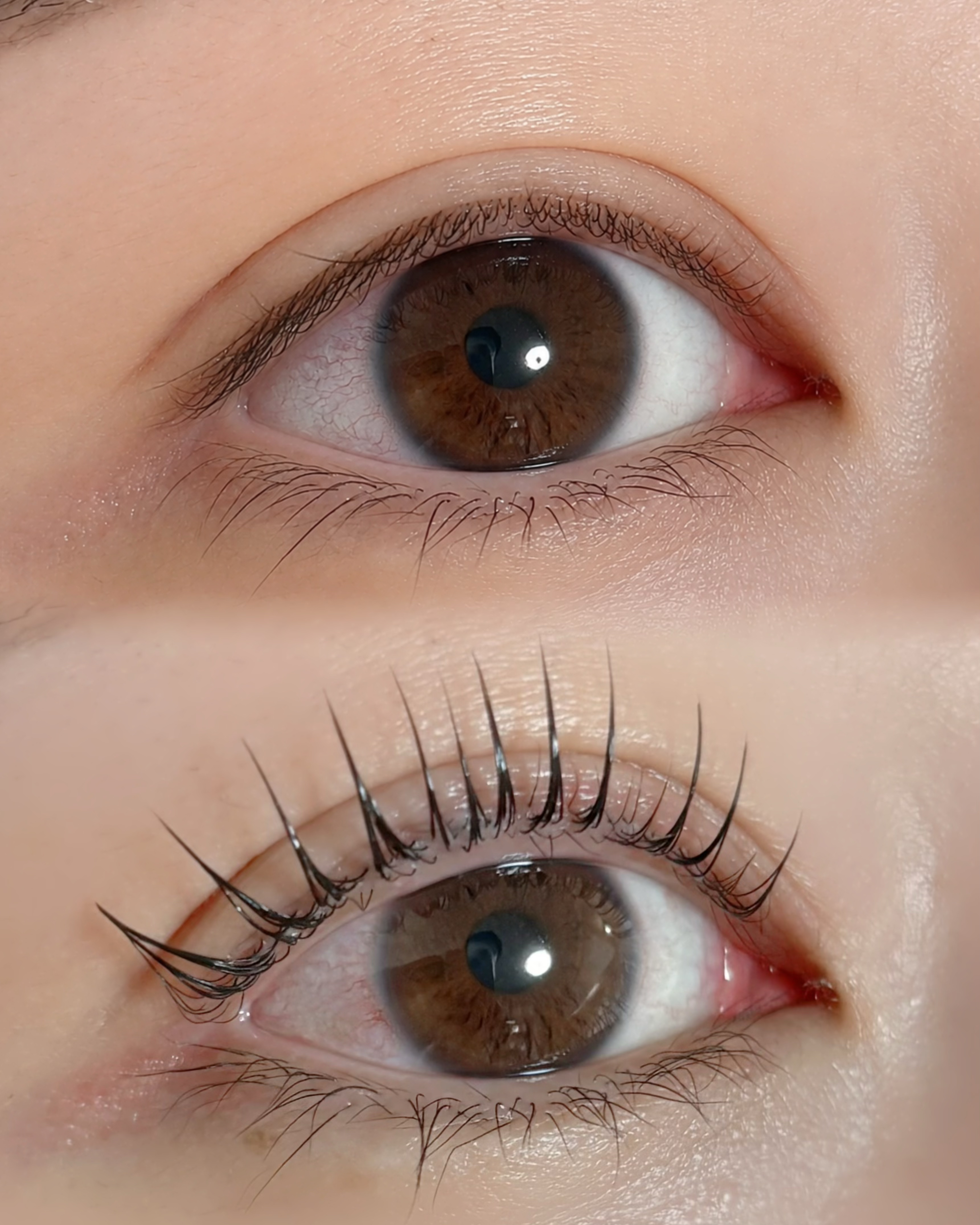 filo_eyelash