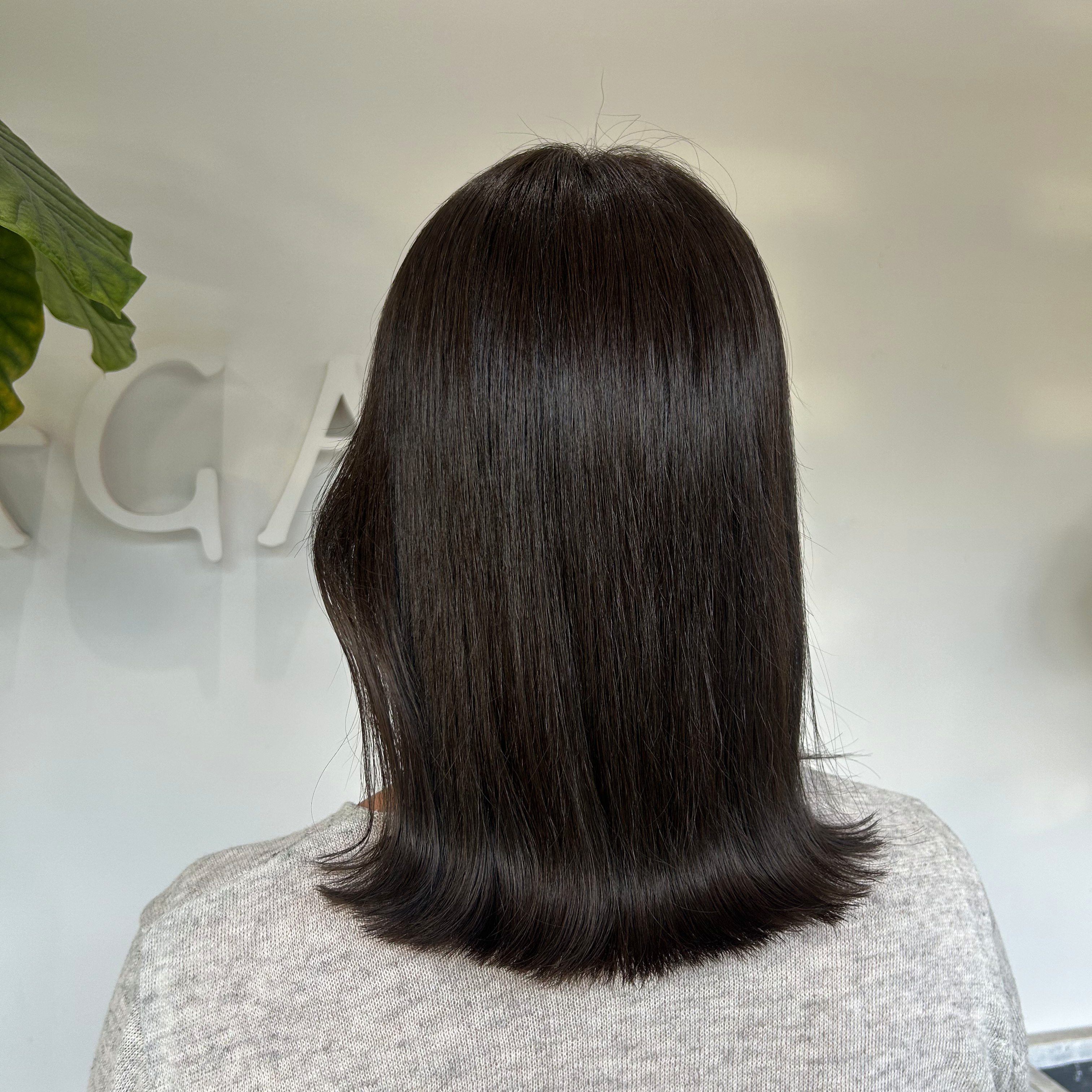 smei_hair