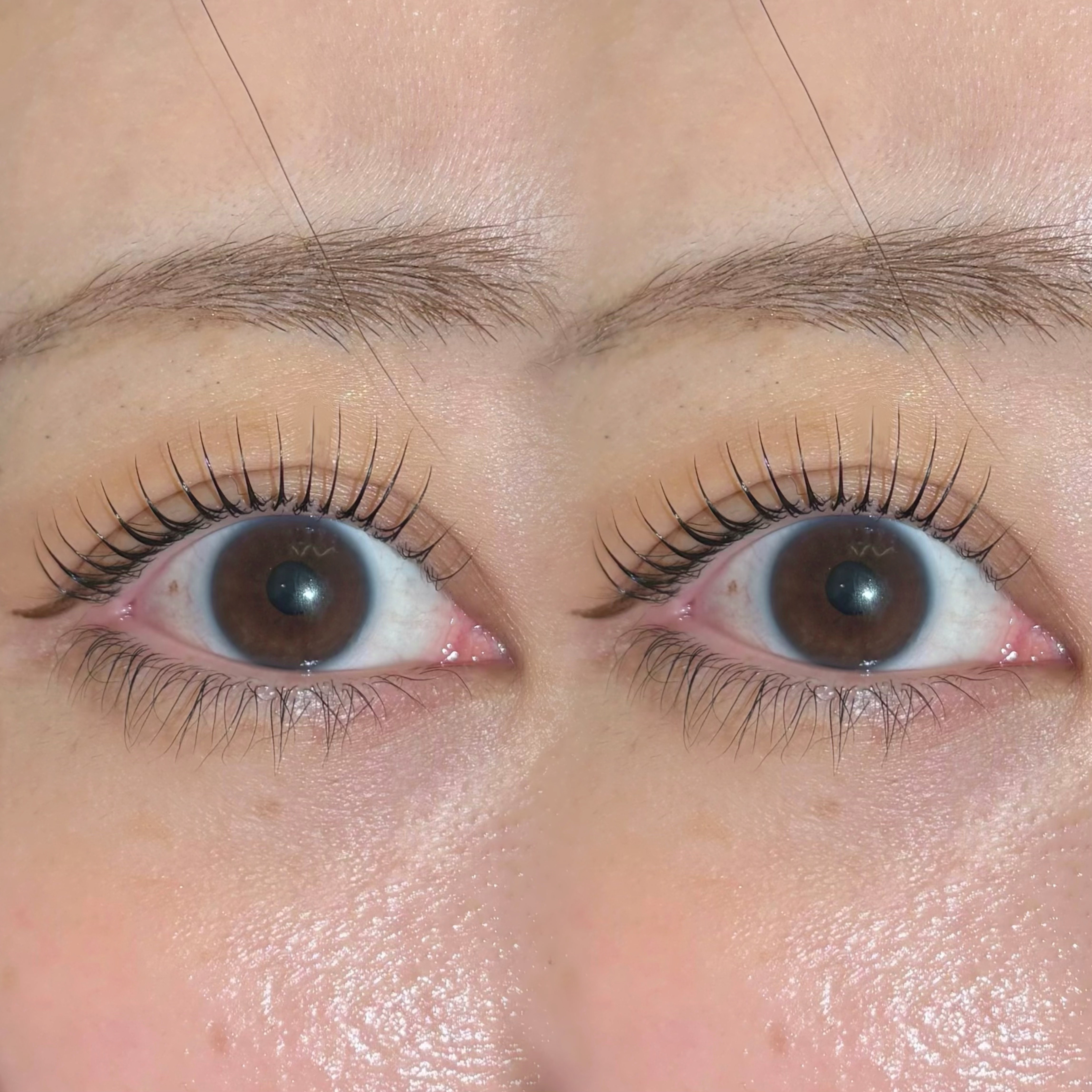eyelash.suzuna