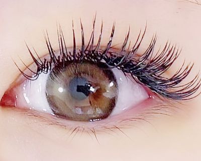 《圧倒的ボリューム×高持続》ダブルフラットラッシュ120束（240本）🫶🏻🫶🏻