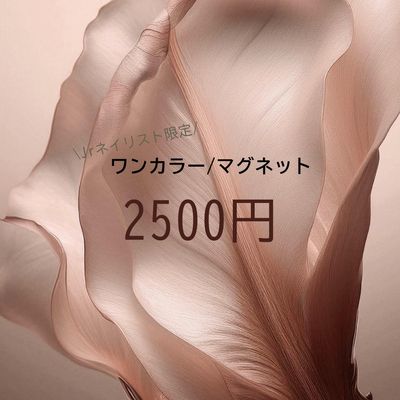 【Jrネイリスト】オフ込み　ワンカラー/マグネット　¥2,500円