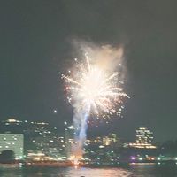 ynd