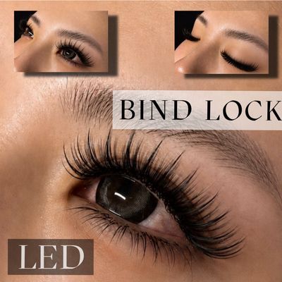 【LED】バインドロック80束