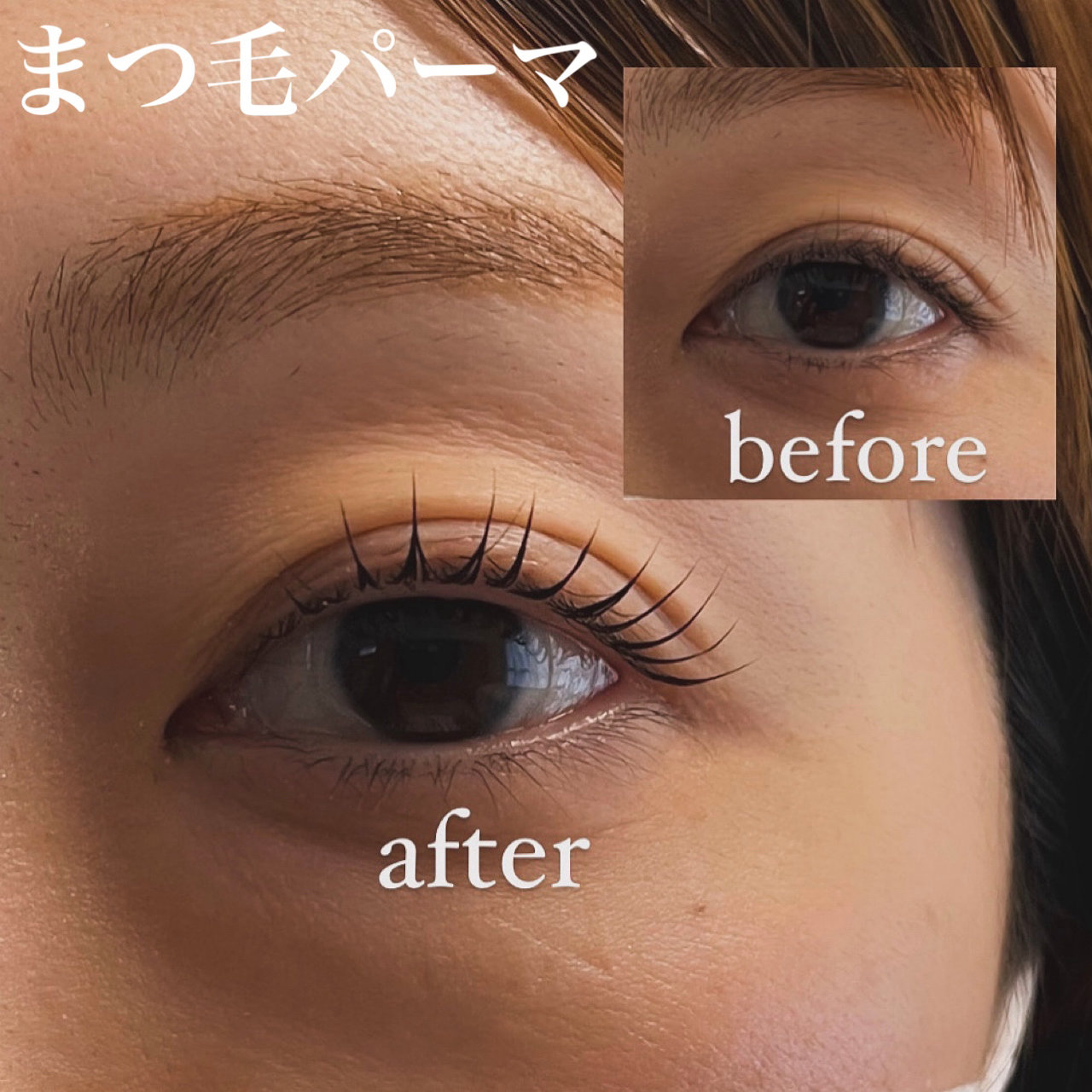 LINO_eyelash.