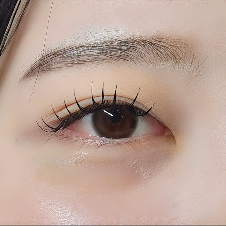 Dorothy_yuumi