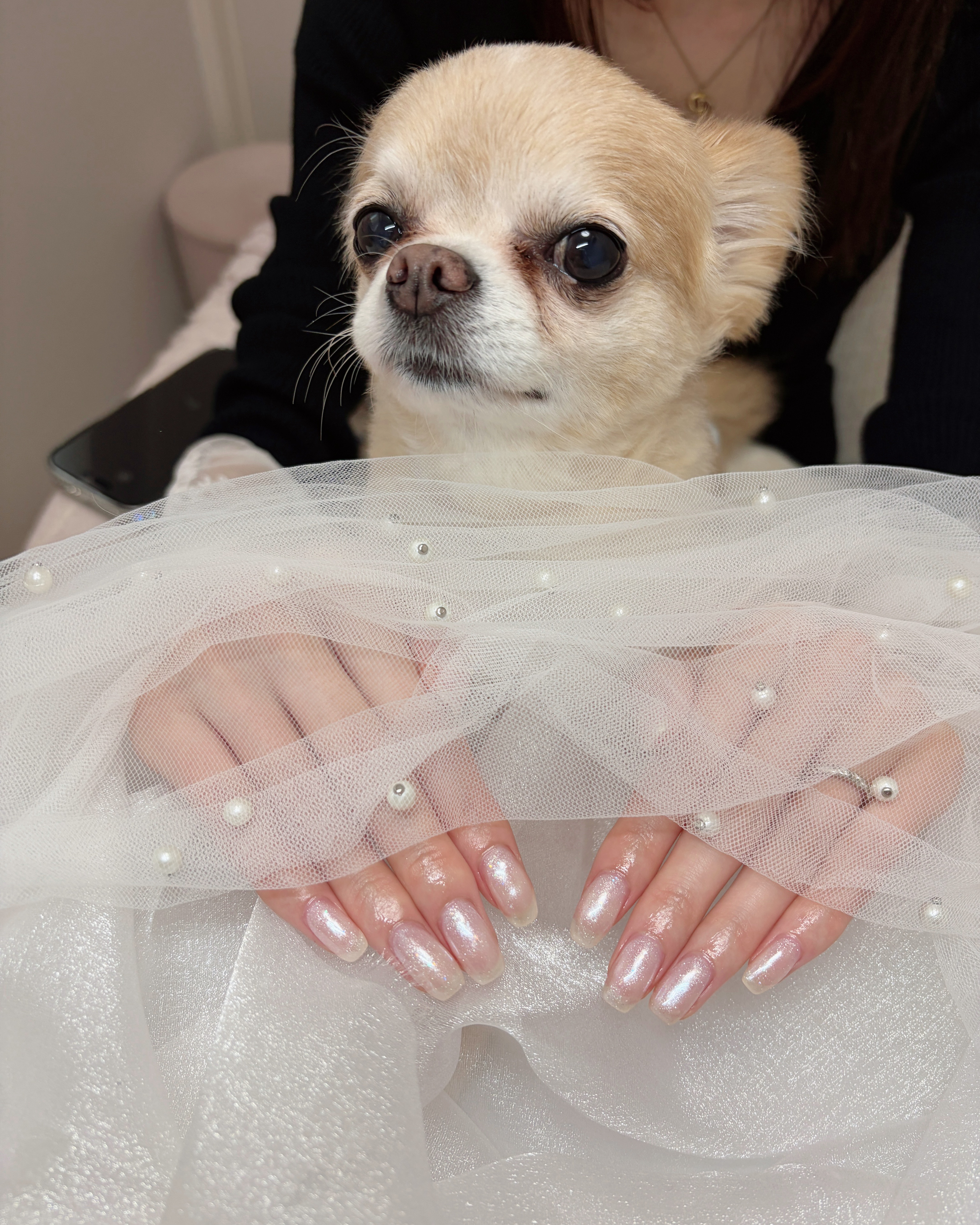Nailsalon.puuko