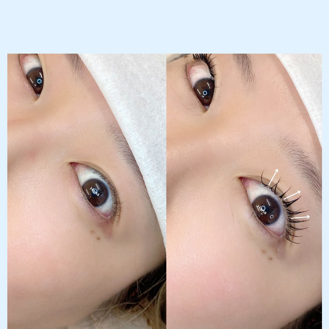lavluna_shizuoka