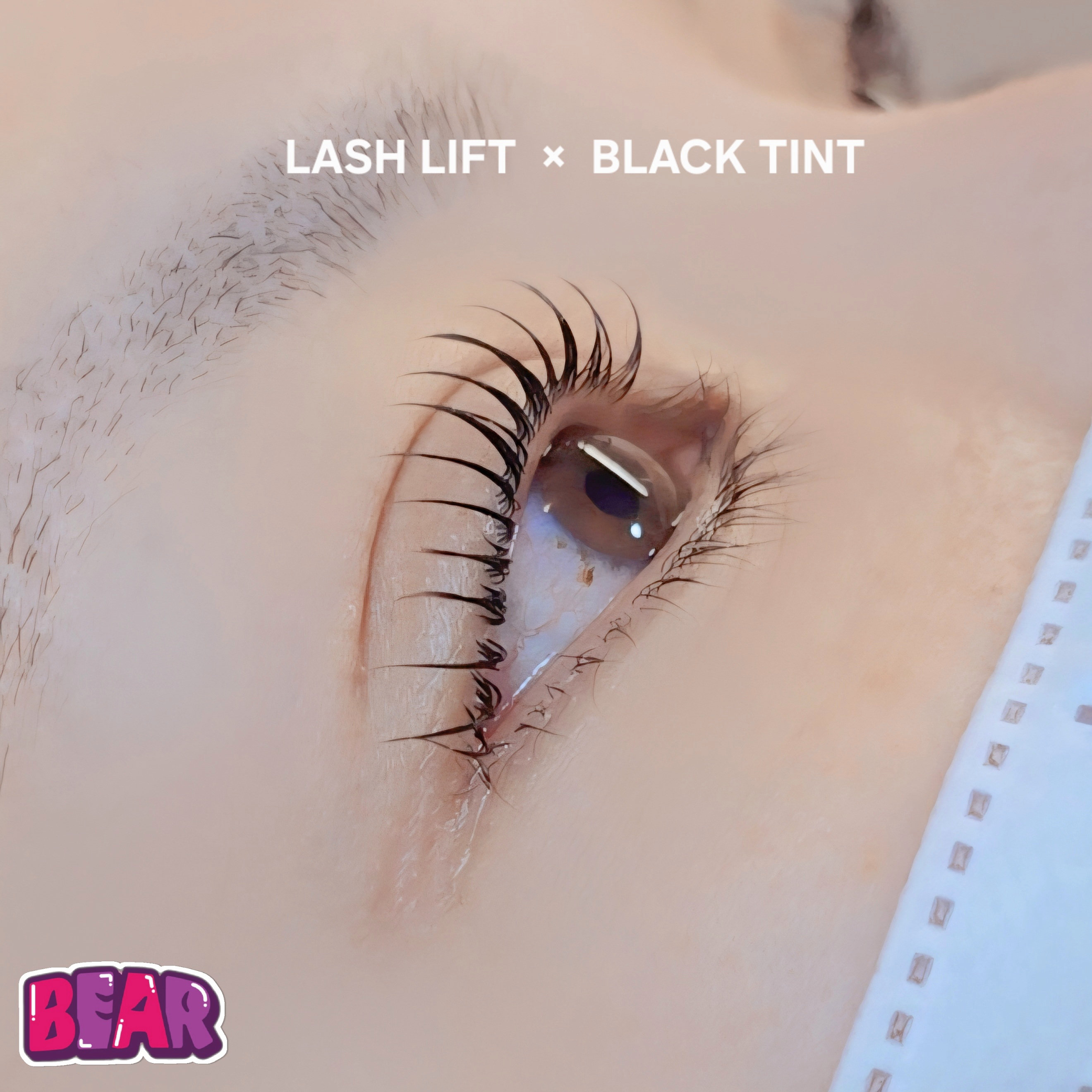 bear._.eyelash