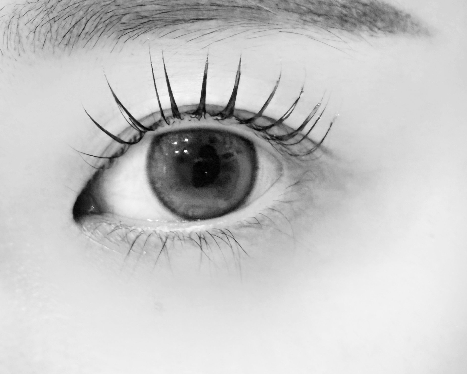 eyelash_CANVAS
