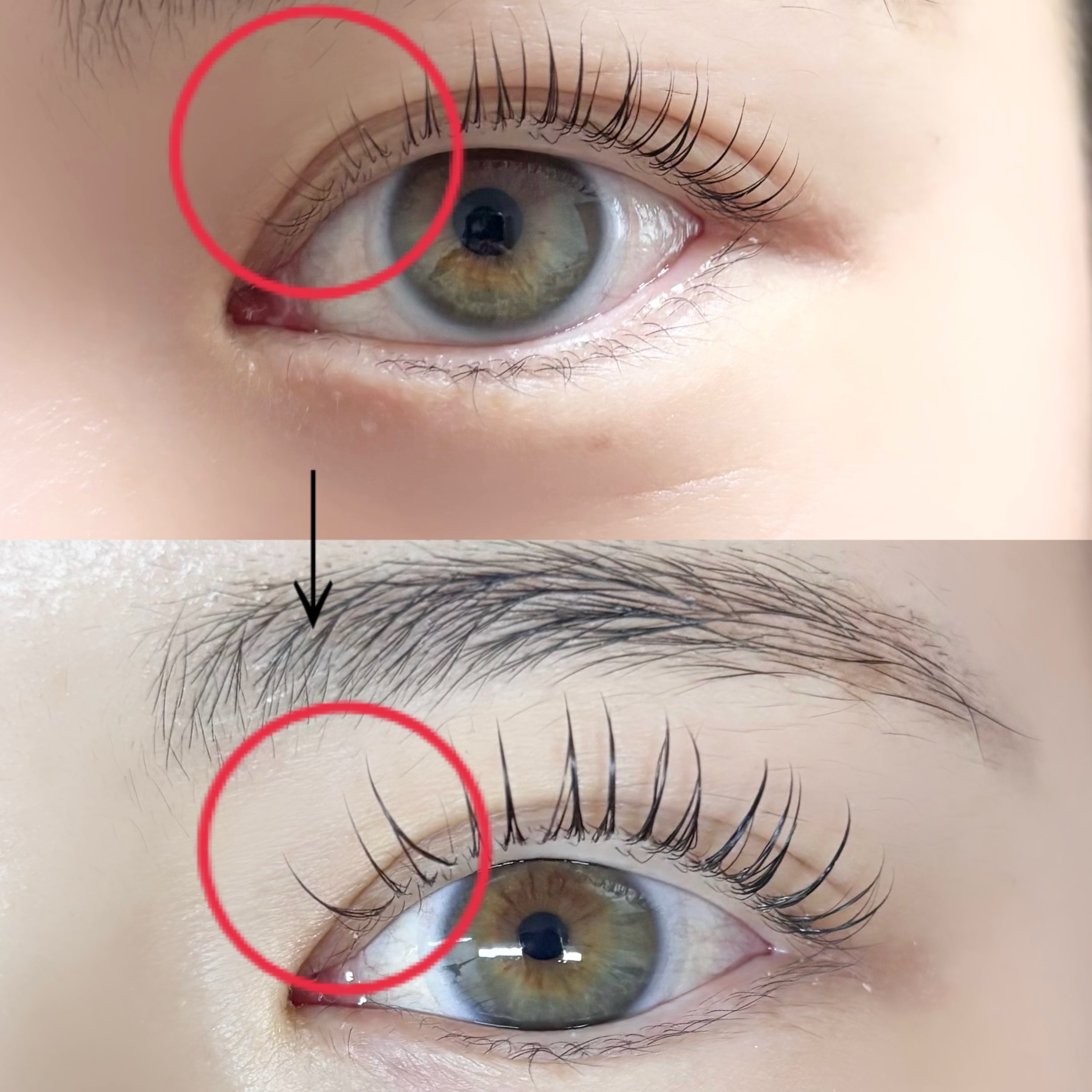 eyelike_